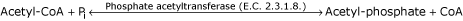 graphic file with name 1471-2091-4-15-i1.gif