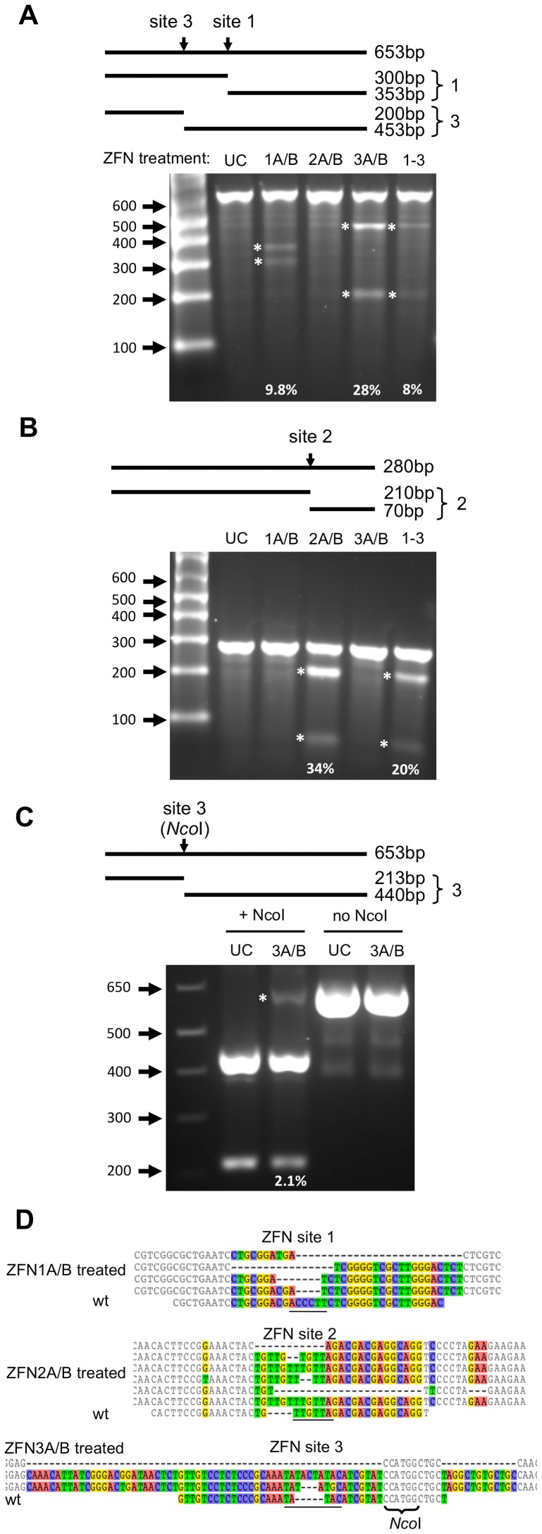 Figure 5