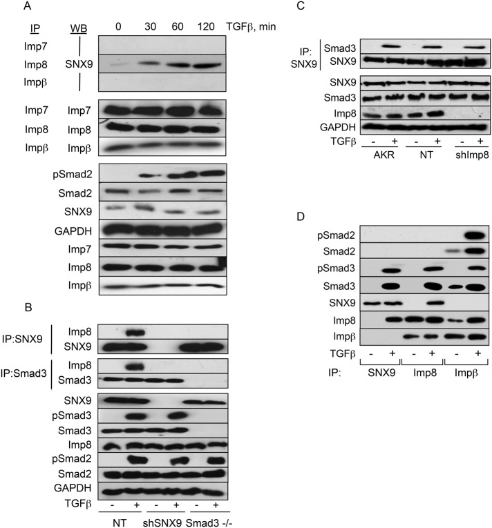 FIGURE 7: