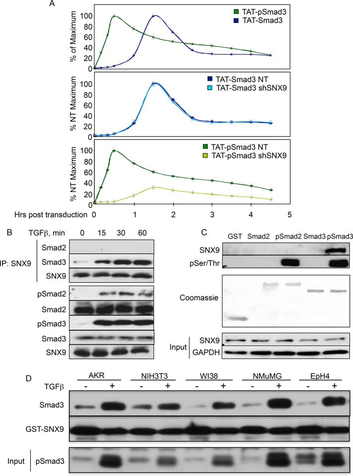 FIGURE 3: