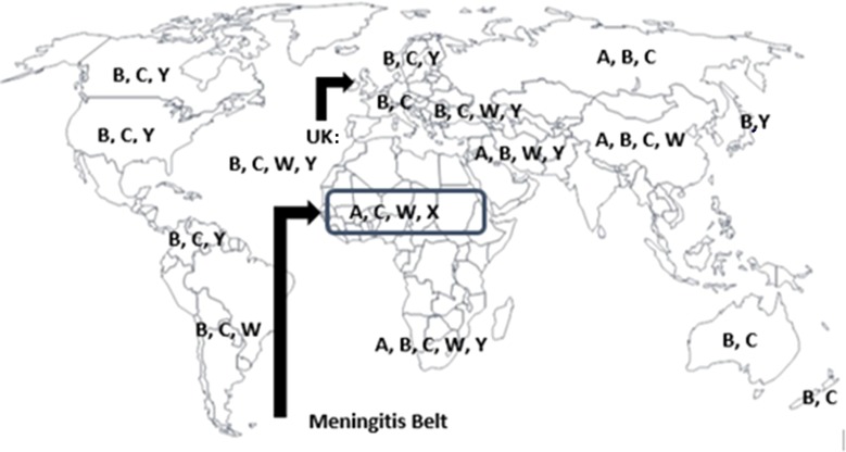 Fig. 1