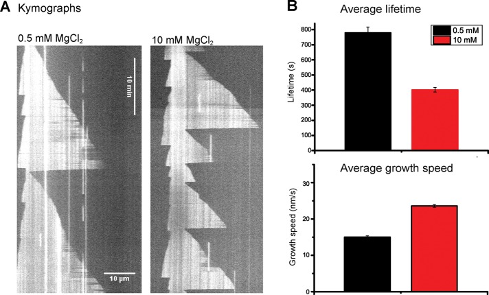 FIGURE 1: