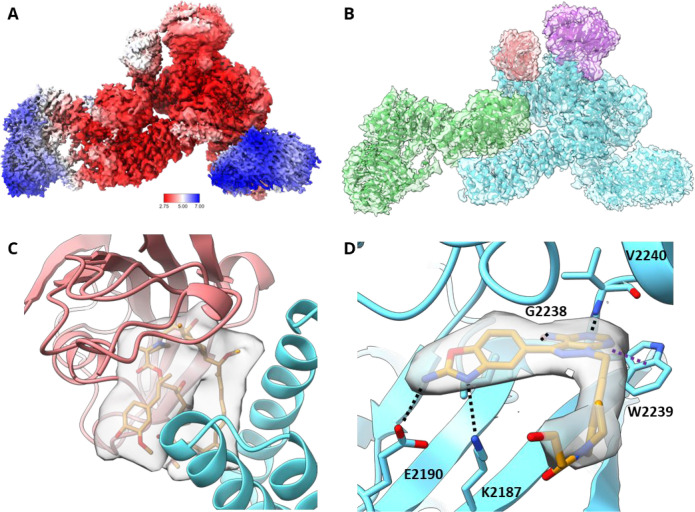 Figure 5