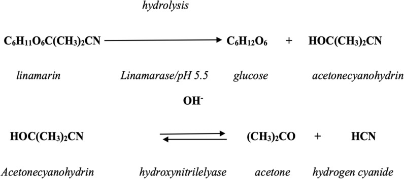 Scheme 1