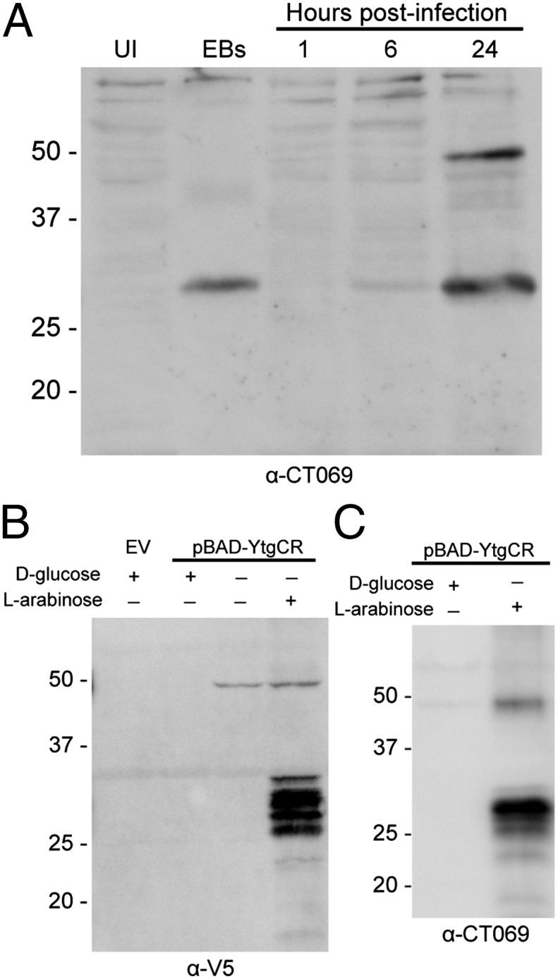 Fig. 3.