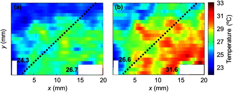 Fig. 3