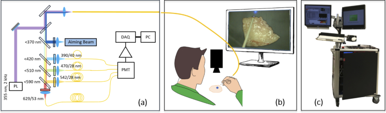 Fig. 1.