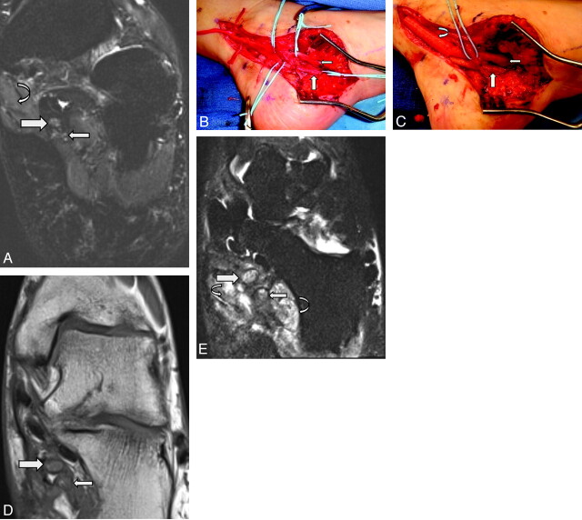 Fig 7.