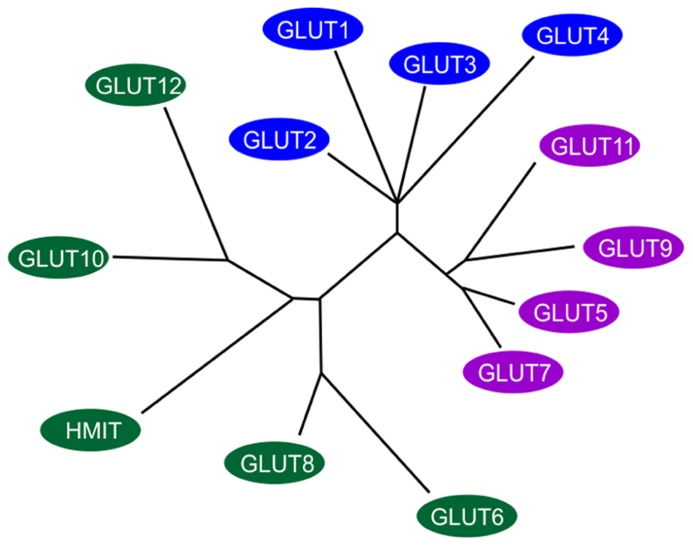 FIGURE 1