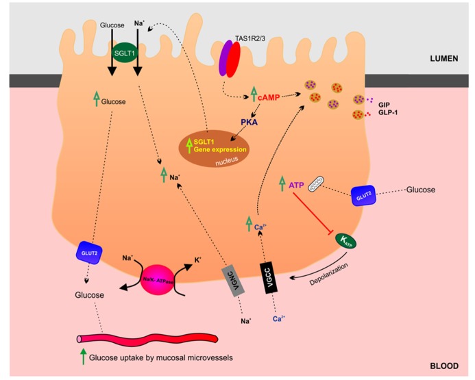 FIGURE 3