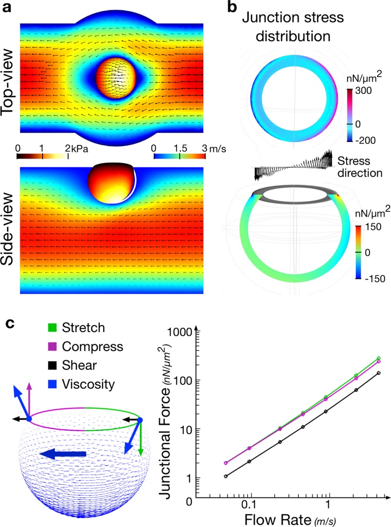 FIG. 3.