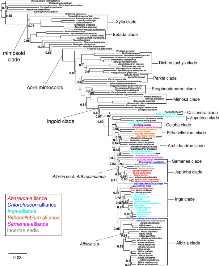 Figure 6