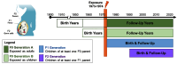 Figure 1 is a scientific illustration of the life-course chronology for first (F0), second (F1), and third (F2) generation participants in the Michigan PBB Registry. The figure depicts a timeline of birth and follow-up periods for three generations (F0, F1, and F2) affected by polybrominated biphenyl (PBB) exposure in Michigan following a largescale agricultural contamination from 1973 to 1974. The timeline axis (horizontal) extends from 1900 to 2020, with a vertical orange bar representing the polybrominated biphenyl exposure event from 1973 to 1974. F0 Generation A: People born before 1973 who were exposed to polybrominated biphenyl as adults; the life-course bar starts with birth years before the mid 1950s and continues through follow-up years past 2020. F0 Generation B: People who were exposed as children; the life-course bar starts with birth years in the mid-1950s and continues through follow-up past 2020. F1 Generation: Children born to at least one F0 parent, including birth and follow-up years beginning shortly after 1973. F2 Generation: Children of at least one F1 parent; births and follow-ups begin in the 1990s and extend to the present. Left inset image: Illustration of generational transmission—F0 parent, F1 fetus, and F2 germ cells depicted in the silhouette of a pregnant woman. The legend shows F0 Generation A (adults during the 1973 to 1974 contamination), F0 Generation B (children during the 1973 to 1974 contamination), F1 Generation, and F2 Generation.