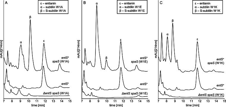 FIG 6