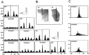 Fig. 9.