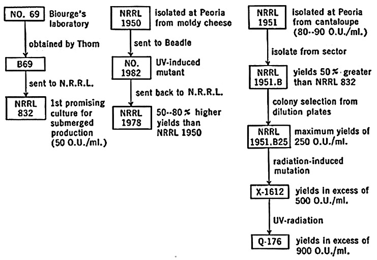 graphic file with name AJPH.2012.300693f3.jpg