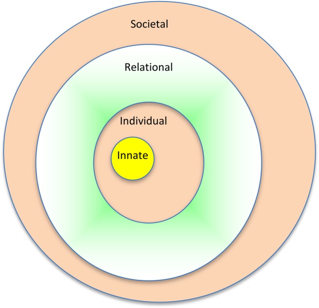 Figure 1