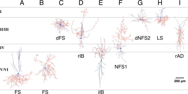 Figure 6.