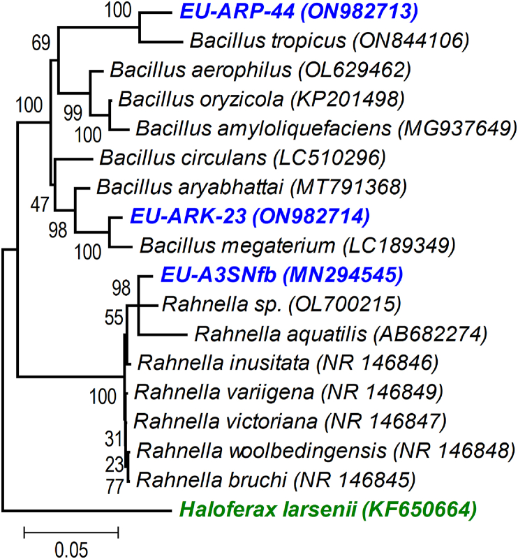 Figure 1