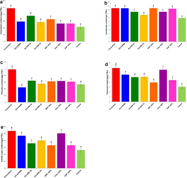 Figure 4