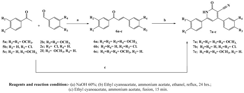 Scheme 2