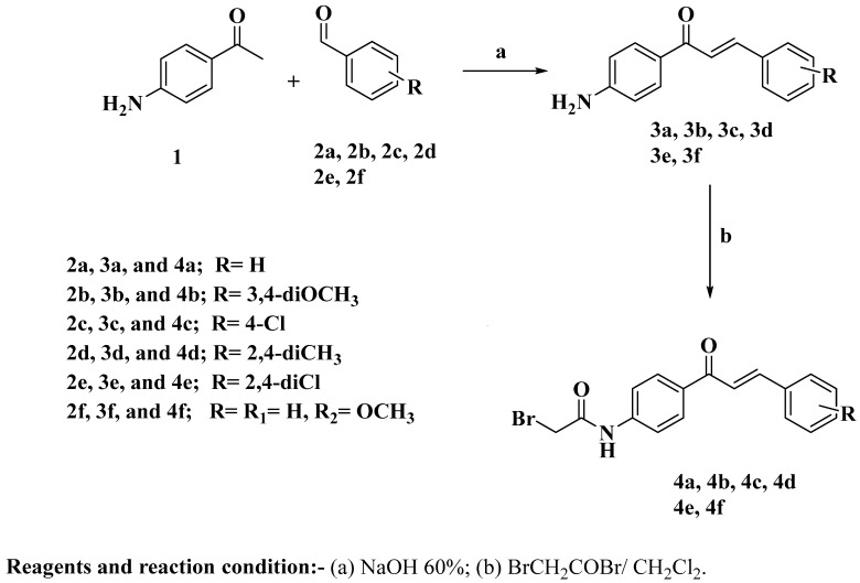 Scheme 1