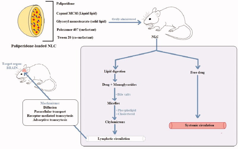 Figure 3.