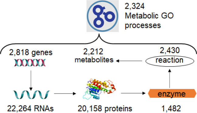 Figure 1: