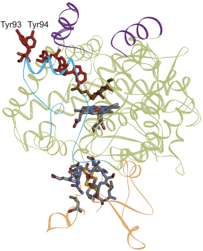 Fig. 5.