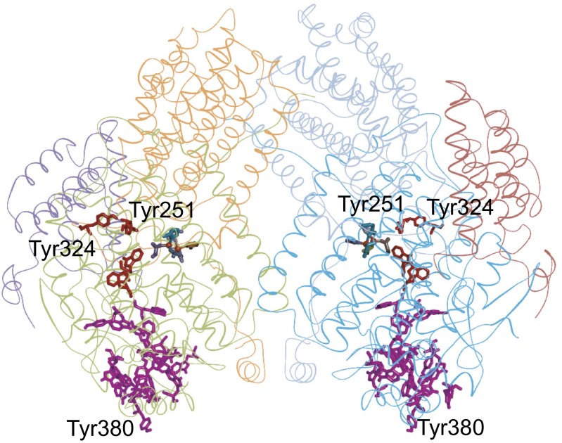 Fig. 7.