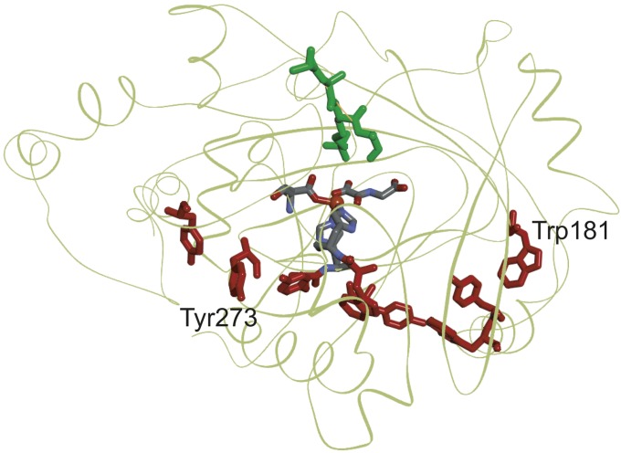 Fig. 6.