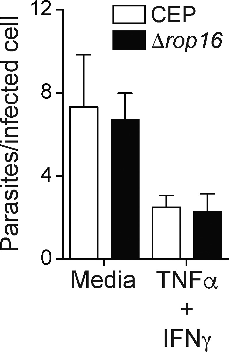 Figure S4.