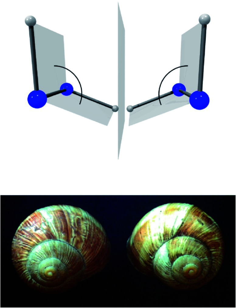 Fig. 9