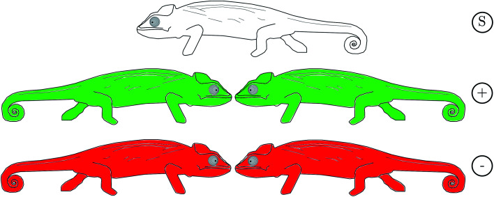Fig. 27