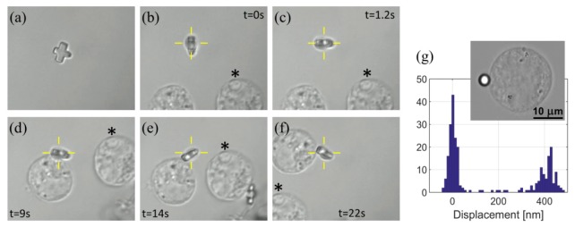 Fig. 4