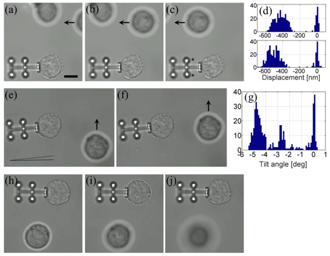 Fig. 5