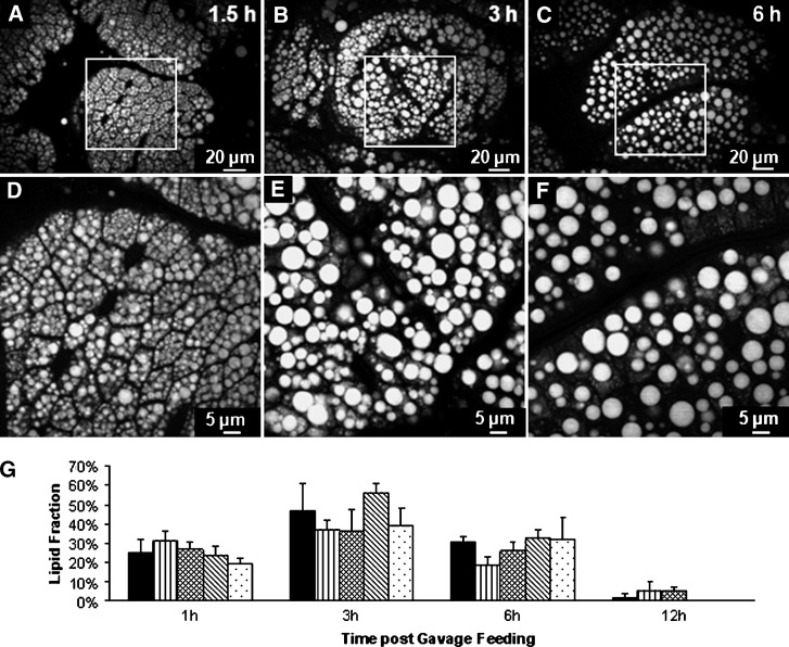 Fig. 5.