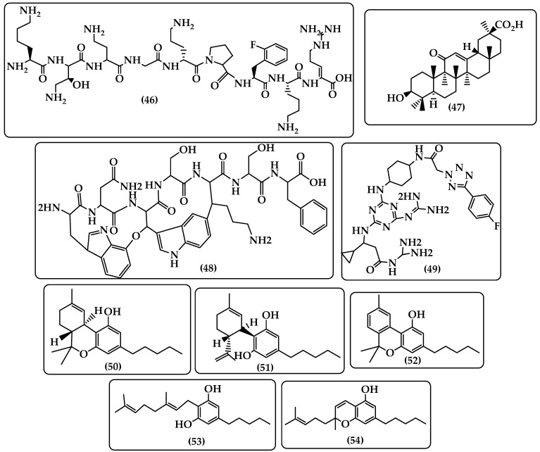 Figure 11