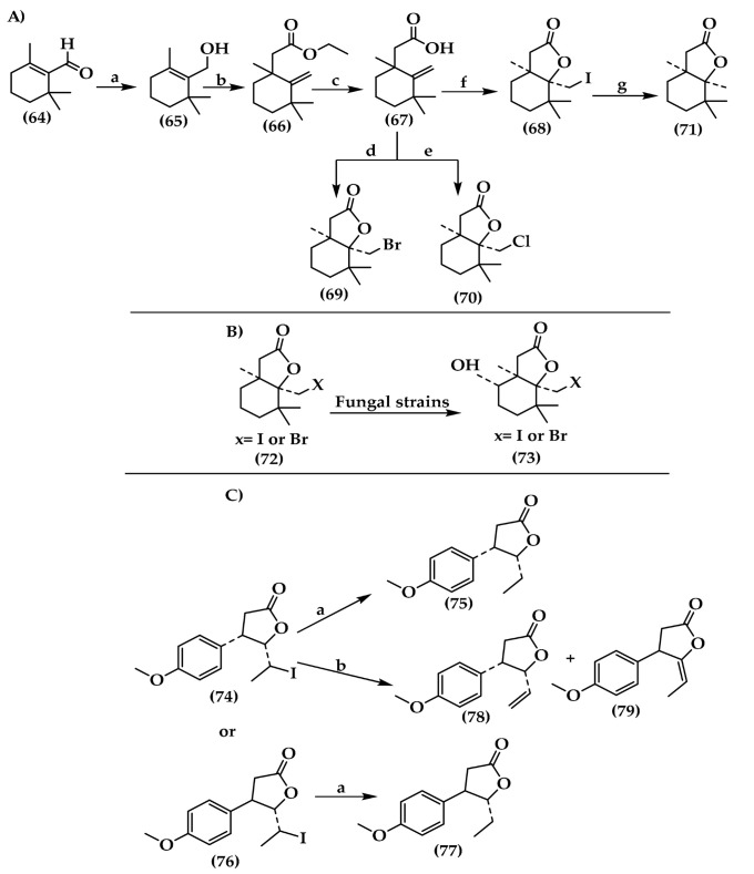 Scheme 1