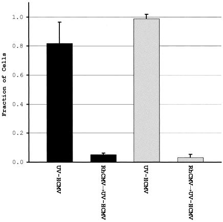 FIG. 11.