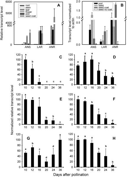 Figure 7.