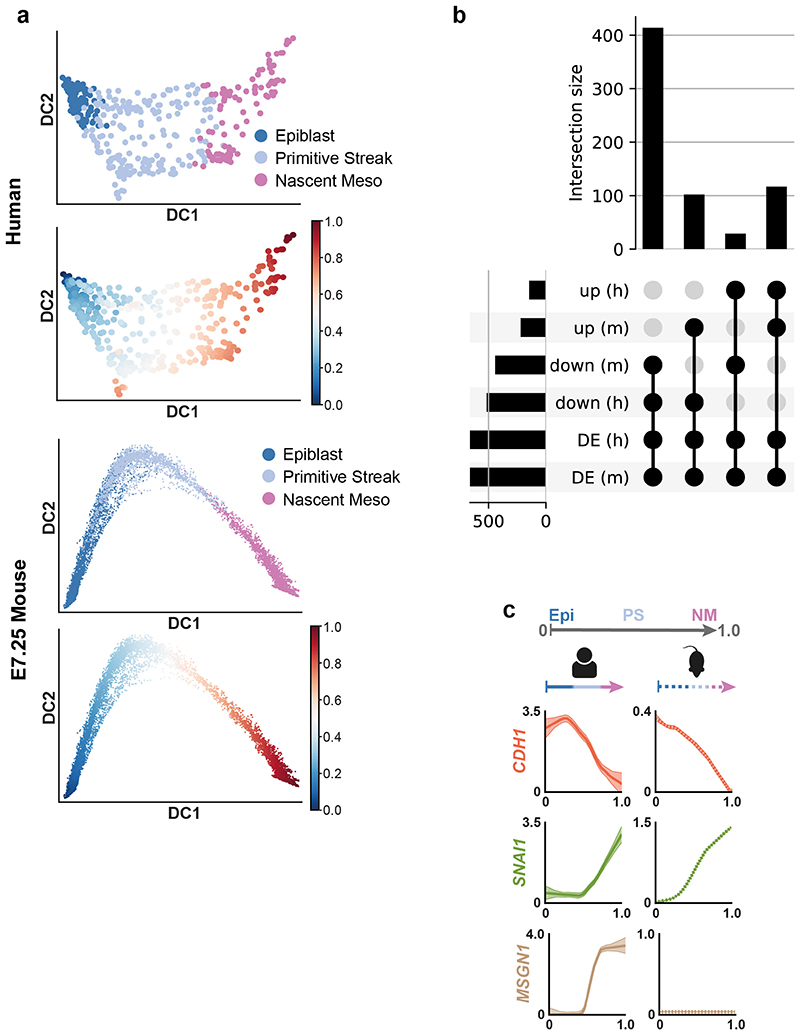 Extended Data Figure 5