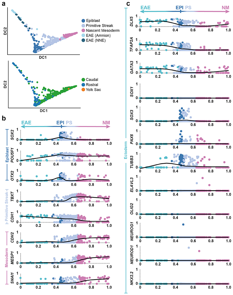 Extended Data Figure 4