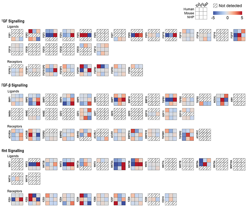 Extended Data Figure 7