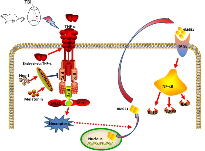 Figure 10