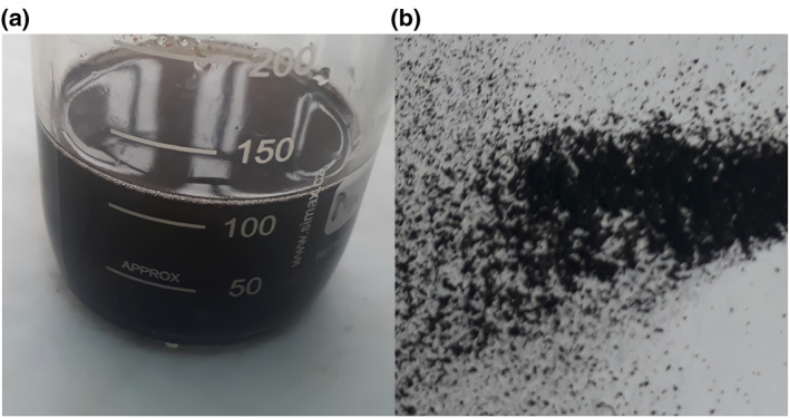 FIGURE 2