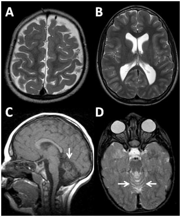 Fig. 5