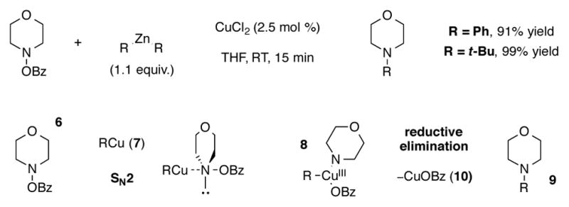 Scheme 3