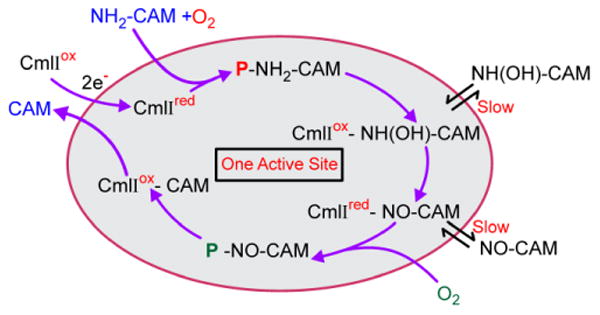 Scheme 5