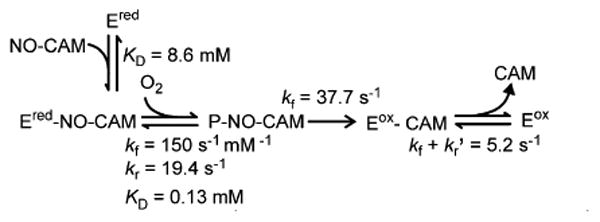 Scheme 3